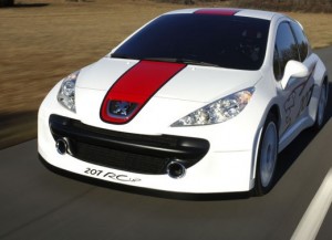 art_16460_2_Peugeot207 RCup_01_big.jpg